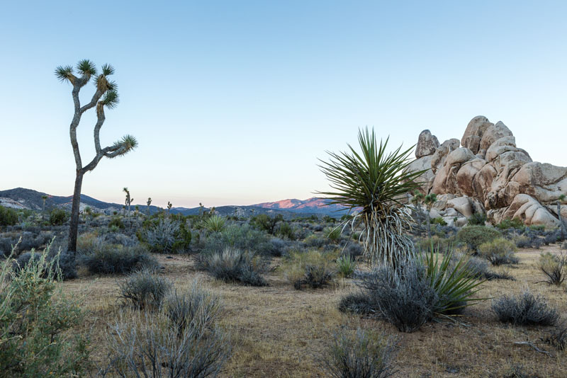 Desert landscape at Joshua Tree National Park, October 2015