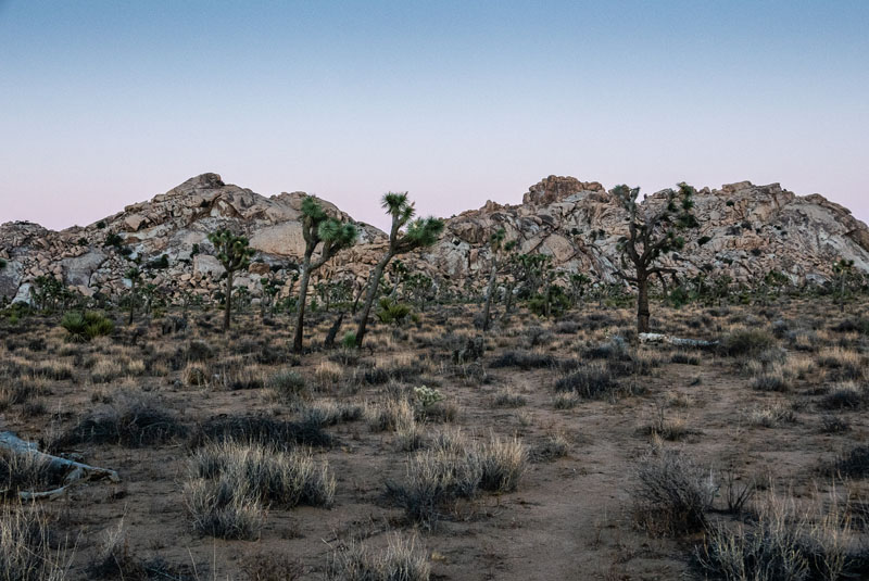 Joshua Tree National Park landscape, September 2016