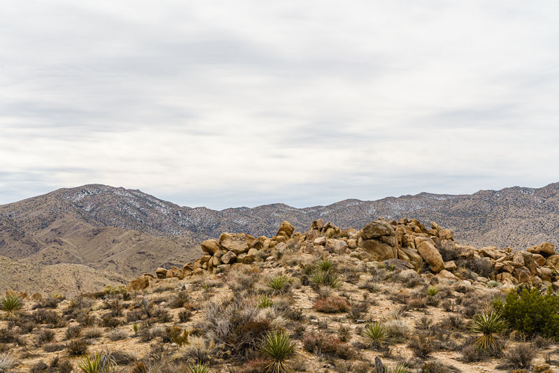 Winter landscape at Joshua Tree National Park, January 2020