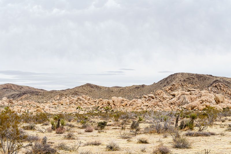 Natural scenery at Joshua Tree National Park, January 2020