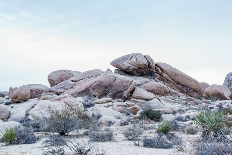 Rock formations at Joshua Tree National Park, January 2020