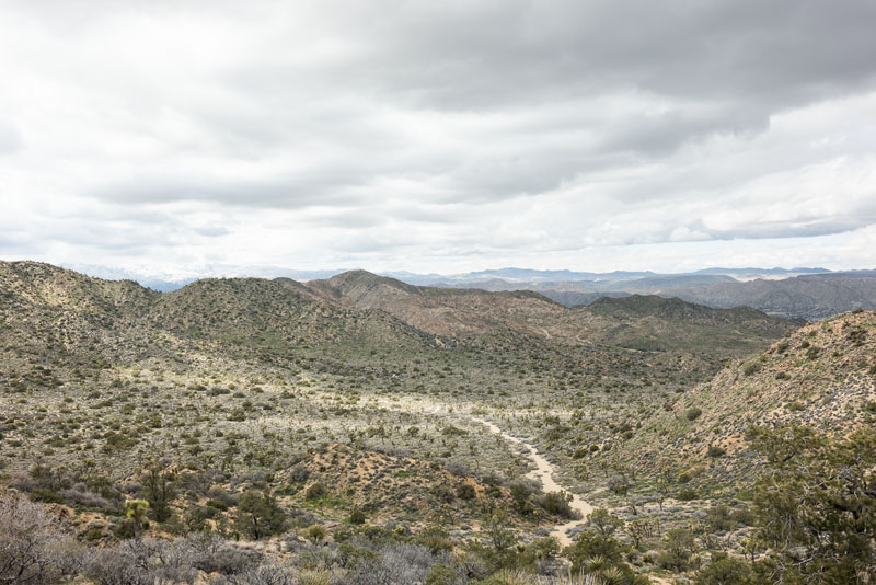 Desert scenery at Joshua Tree National Park, March 2023