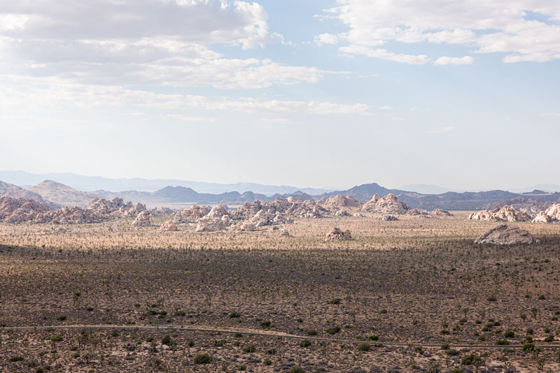 Fall landscape at Joshua Tree National Park, October 2024